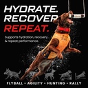 power-boost-canine-performance-formula-l-5.jpg