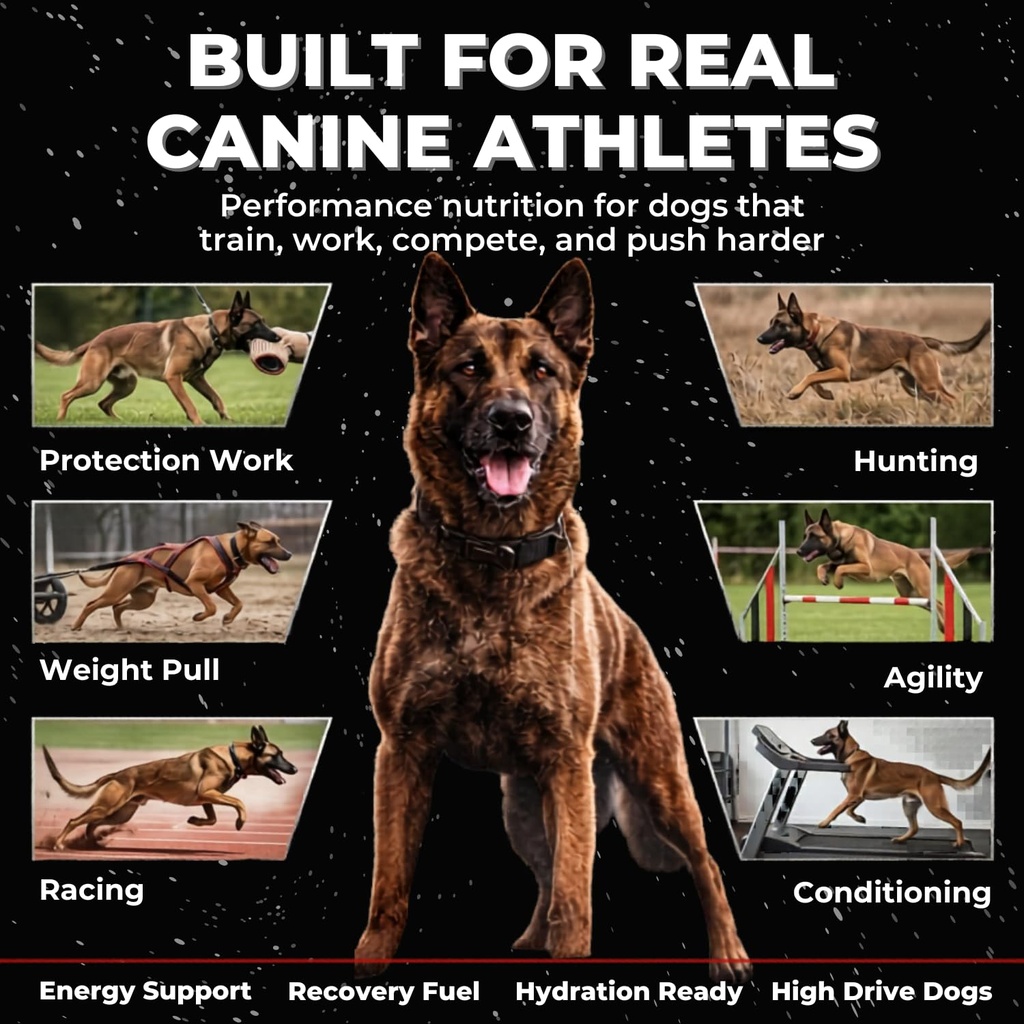 power-boost-canine-performance-formula-l-6.jpg