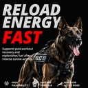 power-boost-canine-performance-formula-l-4.jpg