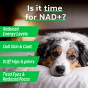 bark-spark-nad-for-dogs-advanced-longevi-4.jpg
