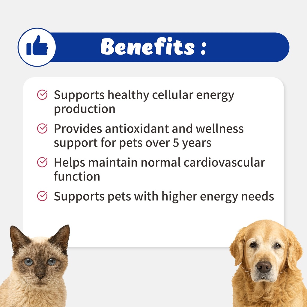 atp-cellvet-endurance-energy-support-for-3.jpg
