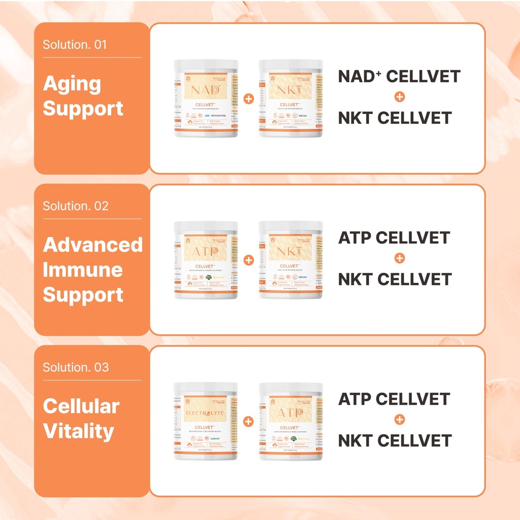 atp-cellvet-endurance-energy-support-for-5.jpg