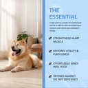 doggy-supps-taurine-taurine-supplement-f-5.jpg