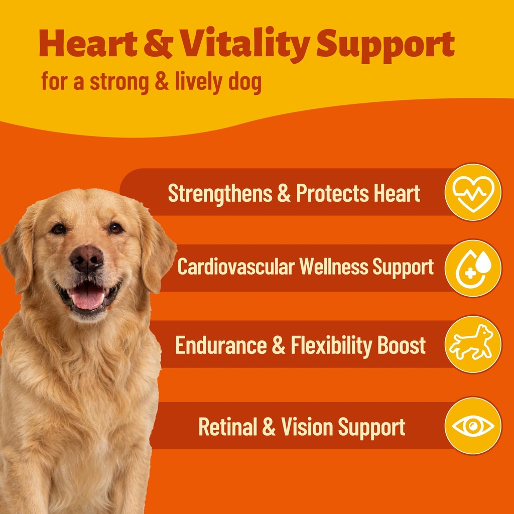 20-taurine-for-dogs-with-coq10-vitamins--4.jpg