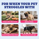 wellix-260g-cardio-taurine-for-dogs-hear-3.jpg