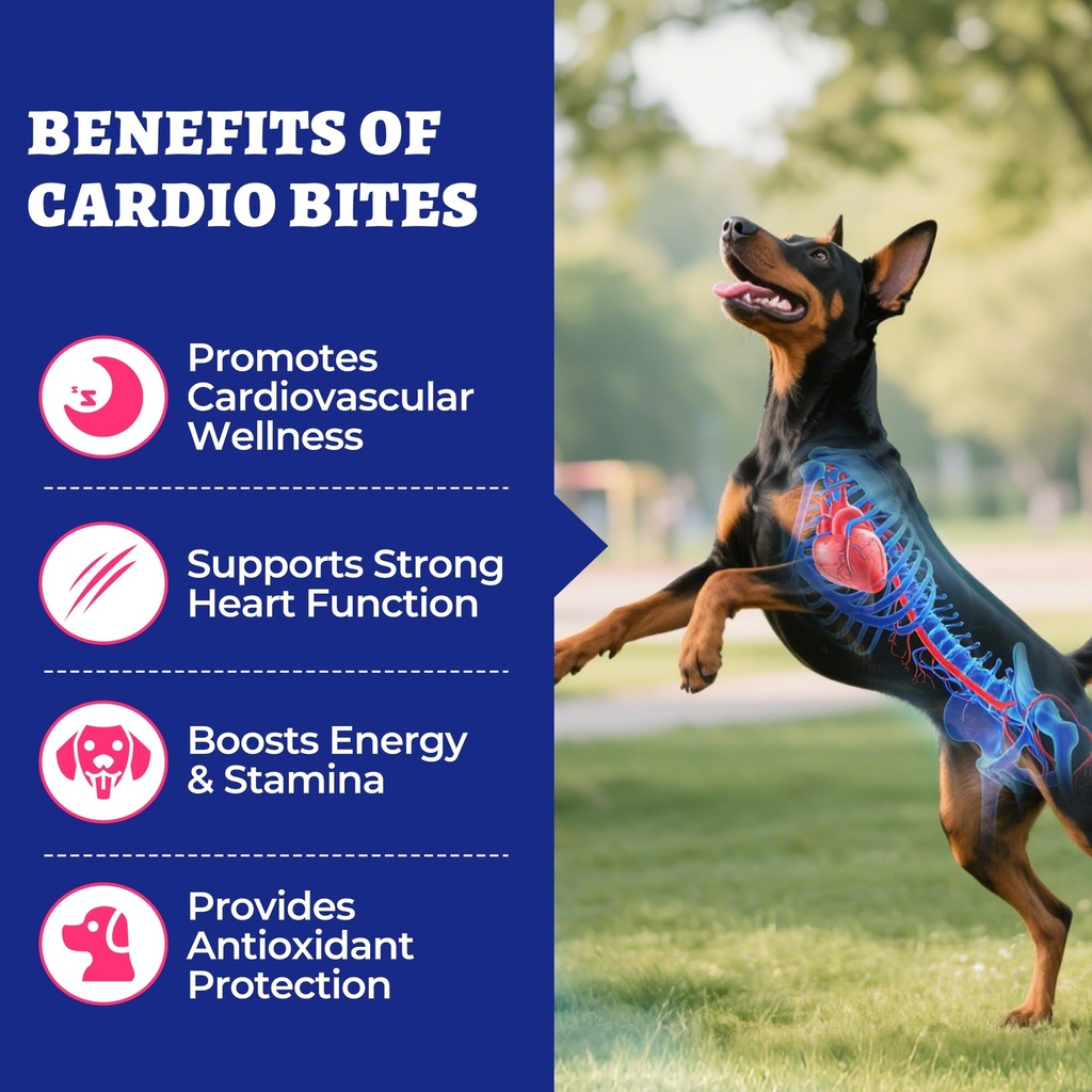 wellix-260g-cardio-taurine-for-dogs-hear-2.jpg