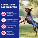 wellix-260g-cardio-taurine-for-dogs-hear-2.jpg