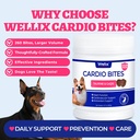 wellix-260g-cardio-taurine-for-dogs-hear-5.jpg