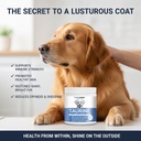 doggy-supps-taurine-doggy-supps-taurine--5.jpg