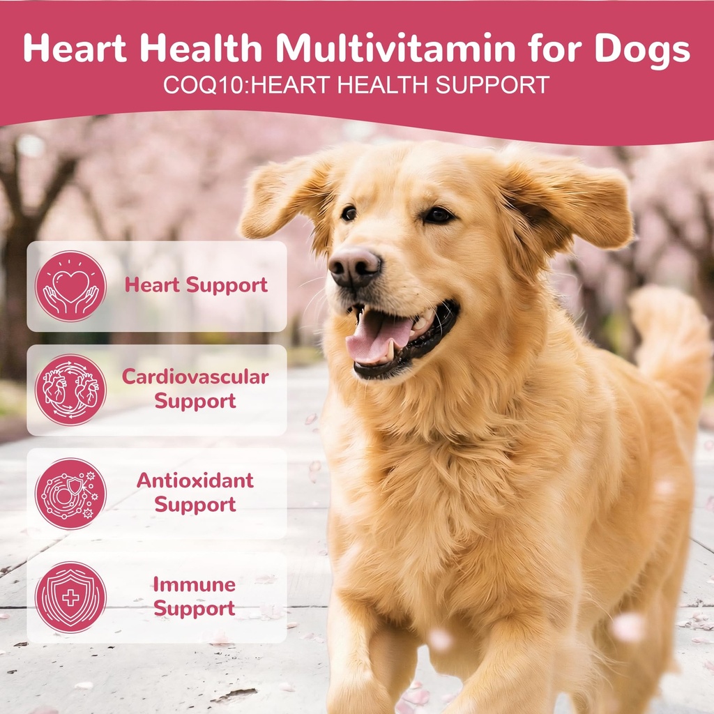 heart-support-supplement-for-dogs-taurin-2.jpg