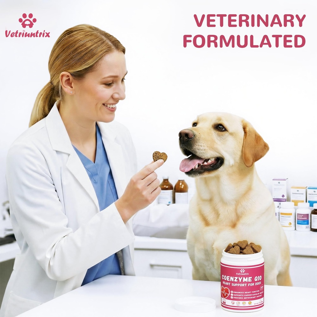 heart-support-supplement-for-dogs-taurin-6.jpg