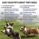 vitamin-b-for-dogs-200-tablets-vitamin-b-3.jpg