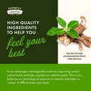 swanson-ashwagandha-powder-supplement-wi-5.jpg