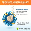 revgenetics-advanced-nmn-1000mg-nicotina-5.jpg
