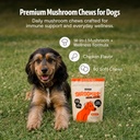 freshcap-shroomies-mushroom-chews-for-do-2.jpg