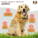 natural-dog-company-canine-vitality-dog--6.jpg