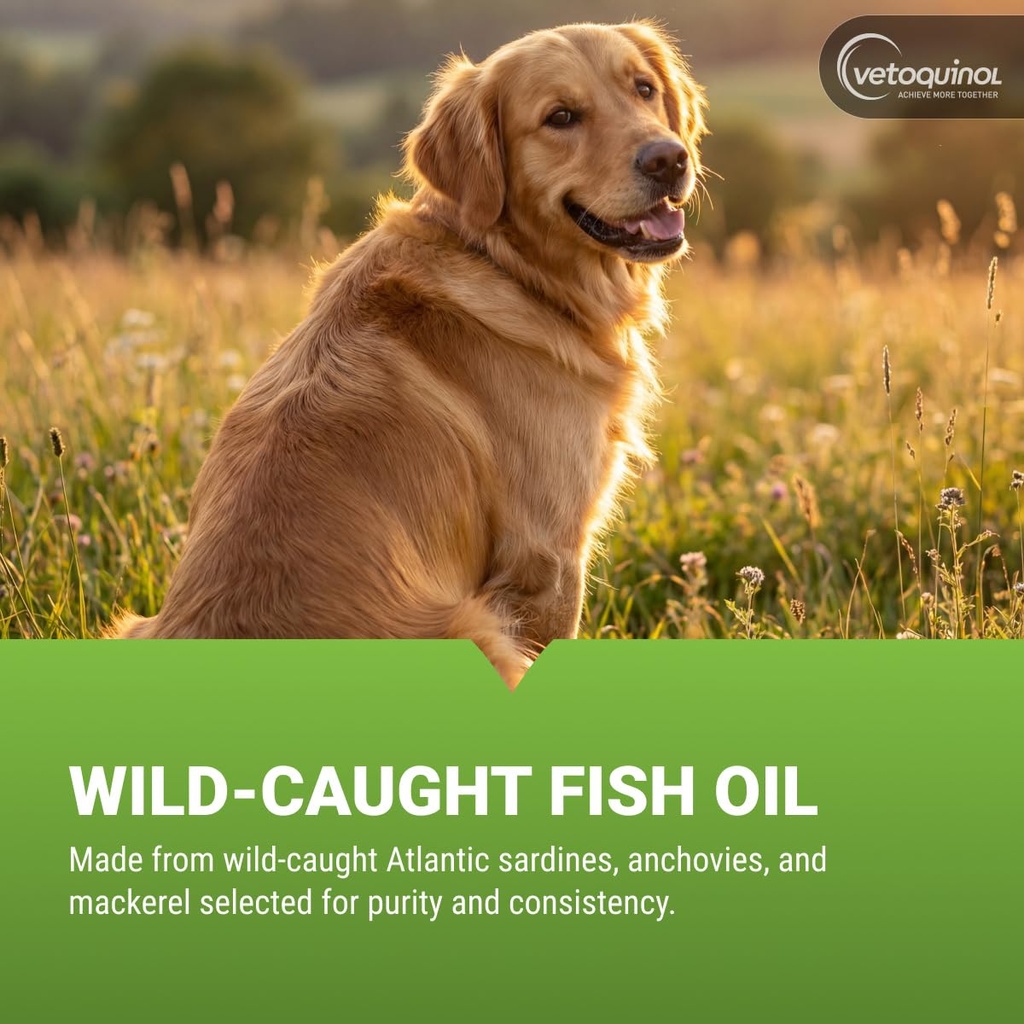vetoquinol-triglyceride-omega-fish-oil-f-4.jpg