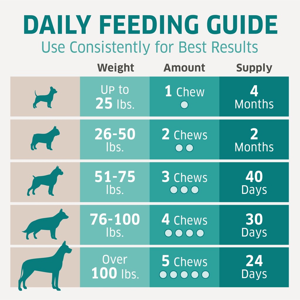 dog-multivitamin-dog-vitamins-and-supple-5.jpg