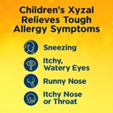 xyzal-children-s-24-hour-allergy-relief--4.jpg