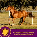 farnam-horse-health-red-cell-liquid-vita-3.jpg