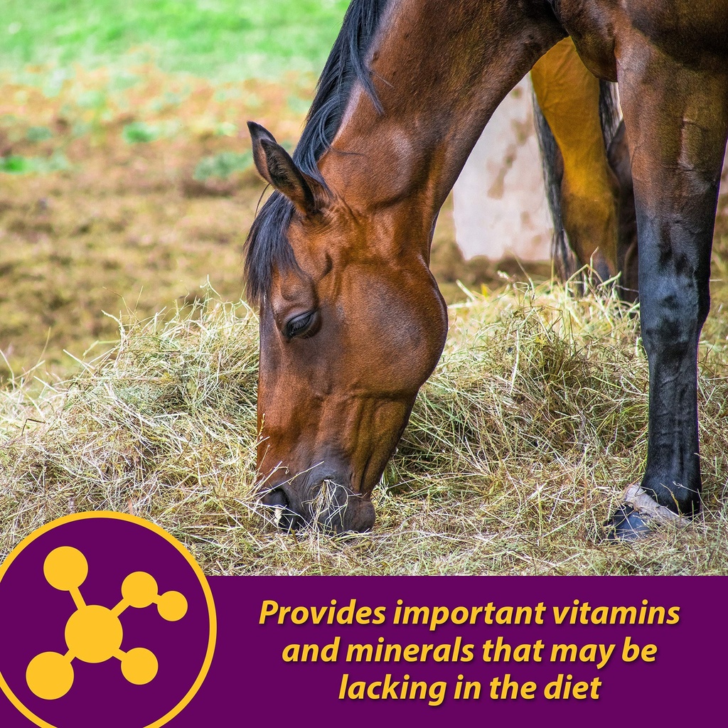 farnam-horse-health-red-cell-liquid-vita-5.jpg