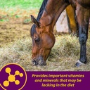 farnam-horse-health-red-cell-liquid-vita-5.jpg