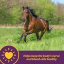 horse-health-vita-b-12-crumbles-suppleme-2.jpg