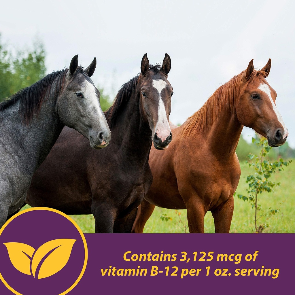 horse-health-vita-b-12-crumbles-suppleme-4.jpg