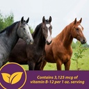 horse-health-vita-b-12-crumbles-suppleme-4.jpg