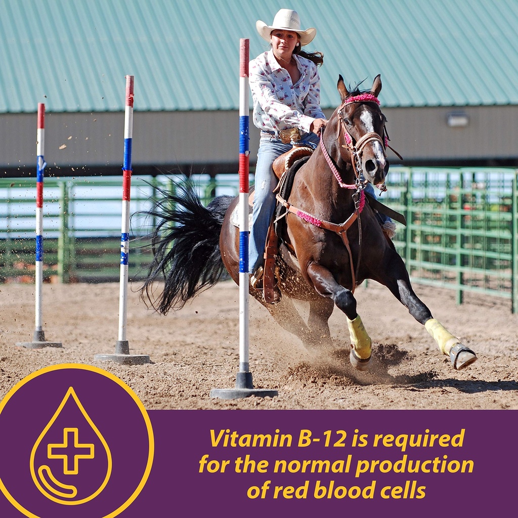 horse-health-vita-b-12-crumbles-suppleme-3.jpg