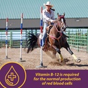 horse-health-vita-b-12-crumbles-suppleme-3.jpg