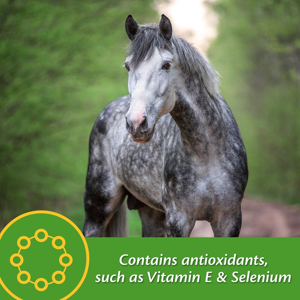 farnam-vita-plus-balanced-multi-vitamin--5.jpg