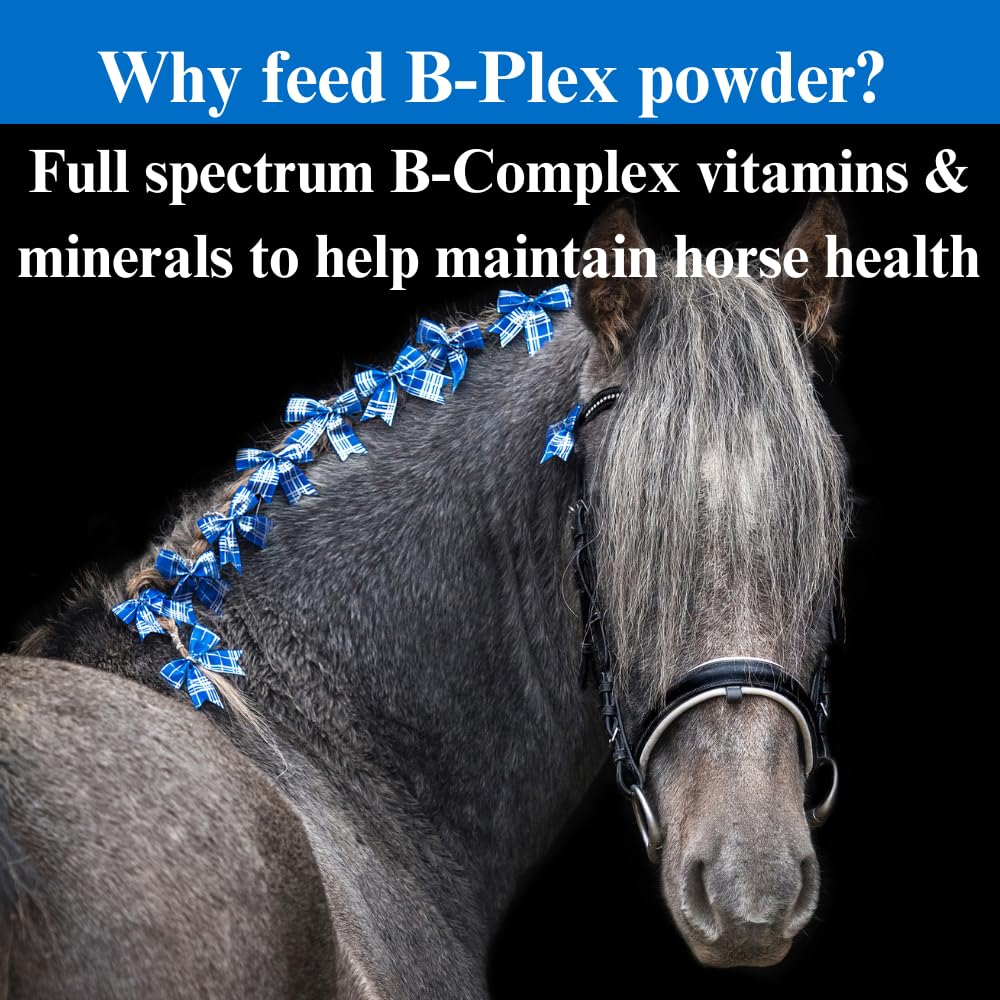 su-per-b-plex-powder-equine-vitamins-com-5.jpg