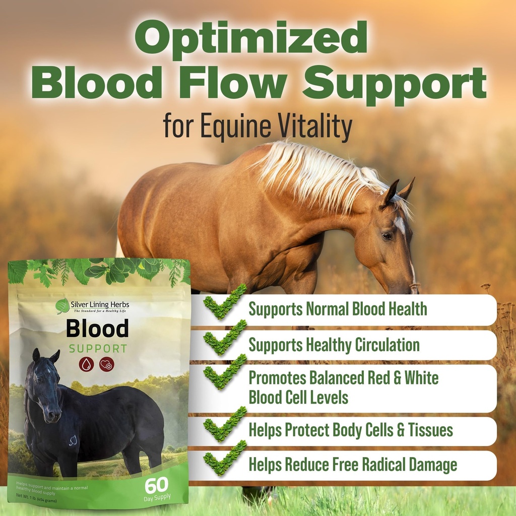 silver-lining-herbs-blood-support-supple-2.jpg