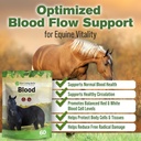 silver-lining-herbs-blood-support-supple-2.jpg