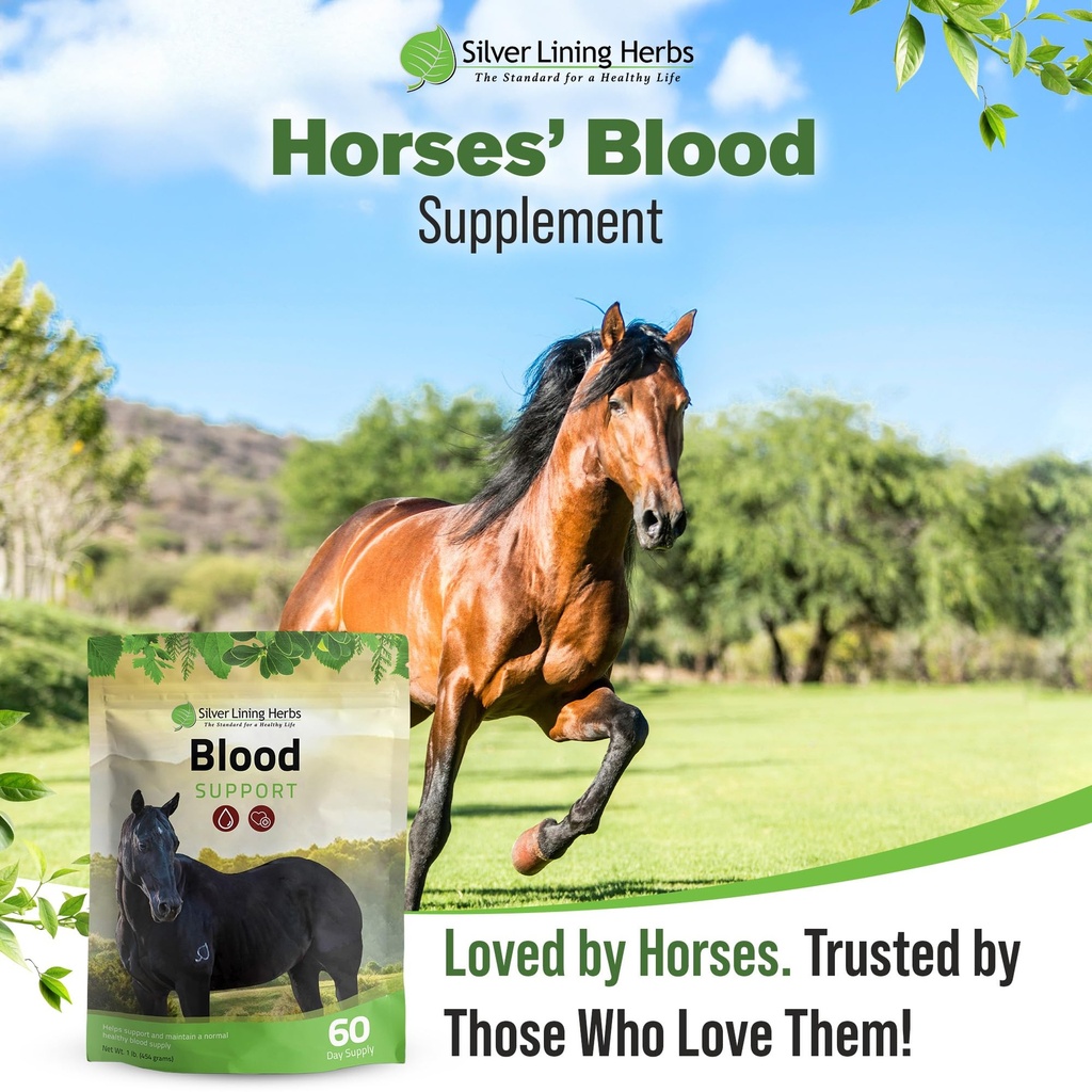 silver-lining-herbs-blood-support-supple-6.jpg