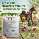 silver-lining-herbs-blood-support-supple-3.jpg