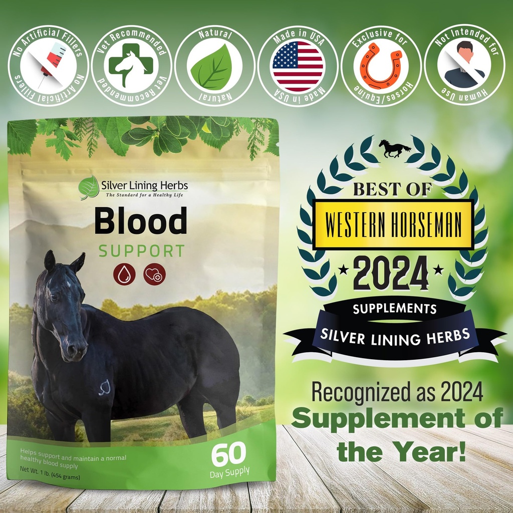 silver-lining-herbs-blood-support-supple-5.jpg