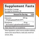 seeking-health-energy-nutrients-nutritio-2.jpg