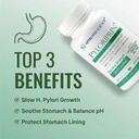 approved-science-pyloriprin-advanced-dig-2.jpg
