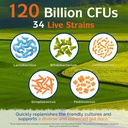 innate-vitality-digestive-bone-support-b-3.jpg
