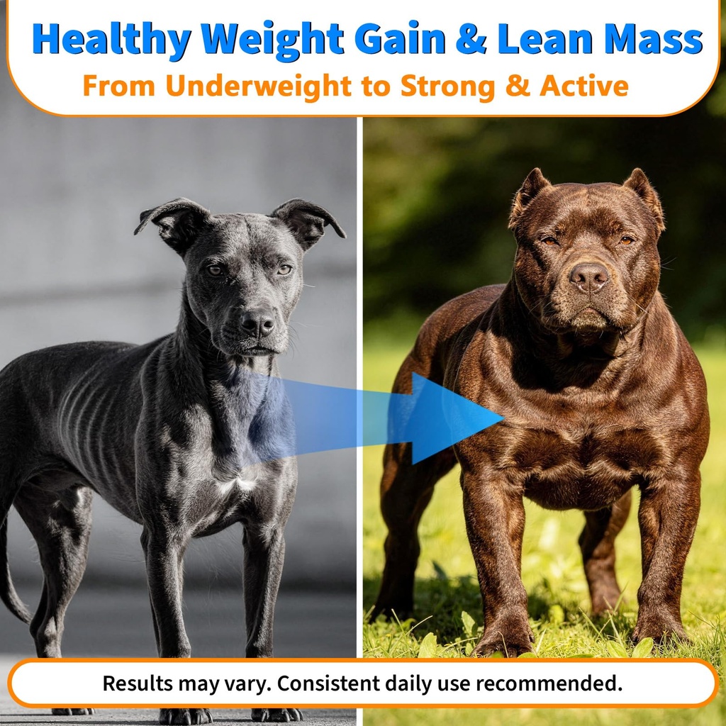 muscle-gain-power-soft-chews-for-dogs-do-3.jpg