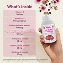 andrew-lessman-immune-factors-360-capsul-3.jpg