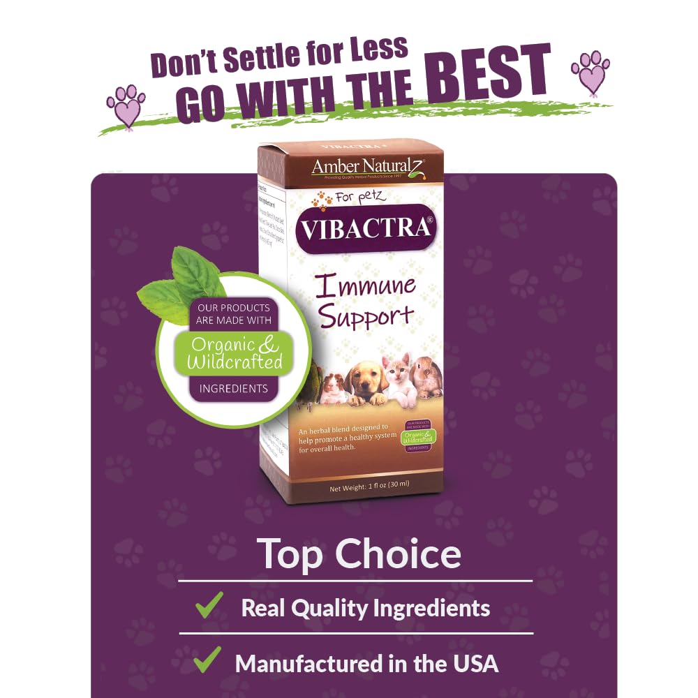 amber-naturalz-vibactra-immune-support-h-5.jpg
