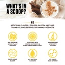ambrosia-plant-based-protein-powder-20g--4.jpg