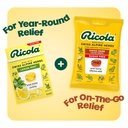 ricola-swiss-herb-sugar-free-cough-drops-5.jpg