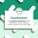 guaifenesin-expectorant-mucus-relief-120-5.jpg