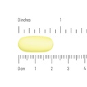 berkley-jensen-maximum-strength-mucus-re-5.jpg