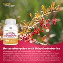 pure-nootropics---dihydroberberine-suppl-4.jpg