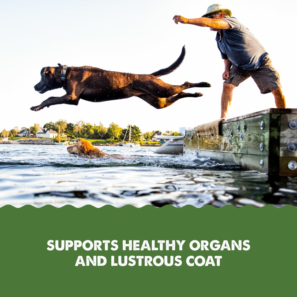 grizzly-pet-productsalgal-plus-omega-3-6-4.jpg